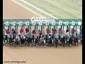 Oaklawn Park Race Track Daily Horse Racing Picks and Predictions Friday April 10