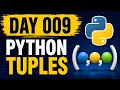 120 Days to Become an AI Automation Engineer Day 9 - Python Tuples Bank Loan Project