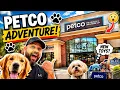 Walking Through Petco in Fort Collins Colorado Store Tour Pet Supplies More