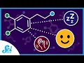 Dopamine Isn t Just a Happy Chemical