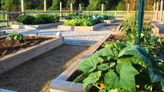 Garden Soil Rose Hauling