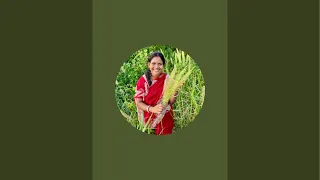 Pratima Kitchen With Tasty Food is live