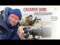 CREATIVE BIRD PHOTOGRAPHY Capturing Artistic Moments
