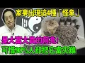 Lagu 倪海廈：家裡出現這4種「怪象」，是大富大貴的前兆！可惜90%的人把它當災難，親手把財神爺趕走！不想窮三代就花10分鐘看完！#倪海厦 #風水 #家庭運勢 #中醫養生 #易經智慧 #財運