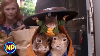 escape from captivity peter rabbit 2 the runaway 2021 