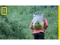 Ultralight Camping How to Minimize Your Pack Get Out A Guide to Adventure