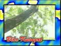 Download Lagu Bila Ku Ingat ~ Alfandy