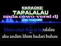 Download Lagu TAPALALAU | KARAOKE | NADA COWO VERSI DJ | LAGU DAYAK REMIX