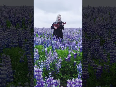 New perspective amongst the lupine