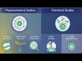 Biosimilars Critical Quality Attributes