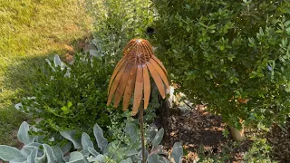 TEMU Garden Favorites Show Tell Around the Garden
