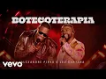 Download Lagu Alexandre Pires, Leo Santana - Botecoterapia (Ao Vivo)