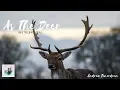 Download Lagu As The Deer (Seperti Rusa Rindu SungaiMu) - Instrumental