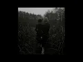 Goldmund - Sometimes