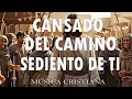 Mezcla De Alabanzas De Adoracion Mix - Musica Cristiana Sumergeme "Cansado del Camino" & Mas Exitos