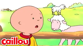 Caillou und das Schaf | Cartoons voor kinderen | Caillou auf Deutsch