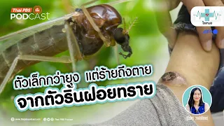 มีวิธีป้องกันการติดเชื้อลิ้นฝอยทรายได้อย่างไร