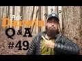 Download Lagu Ask Darwin Q\u0026A #49 (Answers)
