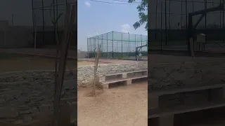                     دندنها