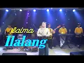 Download Lagu ILALANG - SALMA (Live Cover Dangdut)