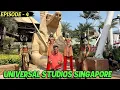 Ep 4 Universal Studios Singapore Sentosa Island Oceanarium Wings of Time