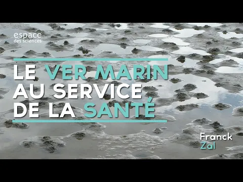 🌊 [Franck Zal] Le ver marin au service de la santé