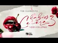 Labios De Cereza 3 - (Video Con Letras) - T3R Elemento - DEL Records 2026