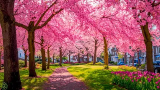 NERVOUS SYSTEM RECOVERY 🌸 Gentle music calms the nervous system and pleases the soul #31