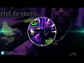 Cartel De Santa - Chula (Audio)
