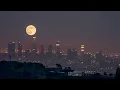 suki waterhouse - good looking (best part)