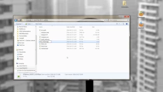 DIANA Python scripts