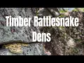 Three Types of Timber Rattlesnake Dens