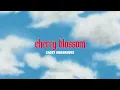 KACEY MUSGRAVES - cherry blossom (official lyric video)