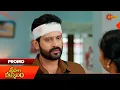 Lagu Sri Hari Kalyanam  - Promo | 11 Feb 2026 | Telugu Serial | Gemini TV