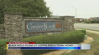 Students Report Unsafe Living Conditions at Copper Beech Apartments in Greenville