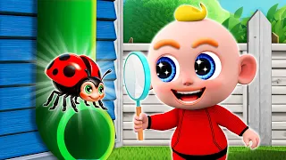 Bugs at Home 🪲 Insects Song + More Nursery Rhymes & Kids Songs | PIB Little Songs