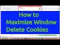 How to Maximize window and Delete all the cookies in selenium webdriver