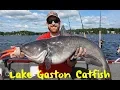 Lake Gaston Catfish