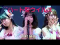 Download Lagu AKB48 18期19期20期 - ハート型ウイルス(Heart Gata Virus) [日本語字幕] [4K]