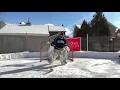 Goalie Basics - Scratch up the crease