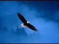 Snooks Eaglin - I'll See You In My Dreams, Mr Sandman