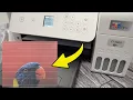 How to Fix Epson EcoTank Printing Lines Stripes
