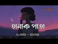 তামাক পাতা | Slowed Reverb | Tamak Pata | Ashes | আগুন জালালে উড়ে যাবে পাখি | Lofi Remake.