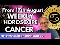 Cancer Weekly Horoscope August 17-23 The Flaw in Your Big Business Choice