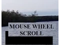 Flash Tutorial 17 Mouse Wheel Scroll