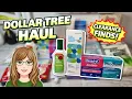 Dollar Tree Clearance Deals New Finds Haul Walkthrough March 12 2026