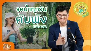โรคตับแข็งมีอาการอย่างไรบ้าง