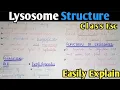 Lysosome Structure And Functions Class 11 Biology