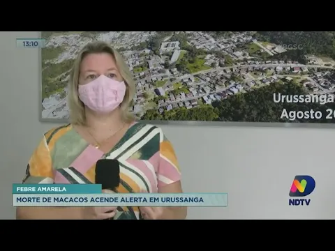 Morte de macacos acende alerta para possíveis casos de febre amarela em Urussanga