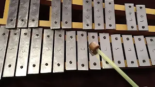 بلادي بلادي علي الاكسيليفون   دندنها